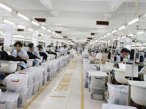 內(nèi)衣廠家為何信賴波而朵 品質(zhì)、創(chuàng)新與服務(wù)的三重保障